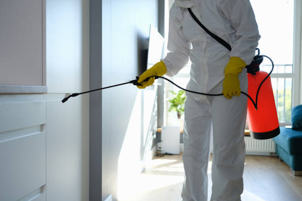 Professional Mold Inspection, Removal & Remediation in Montgomery, GA